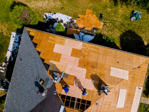 Best Roof Gutter Cleaning  in West Haven, UT